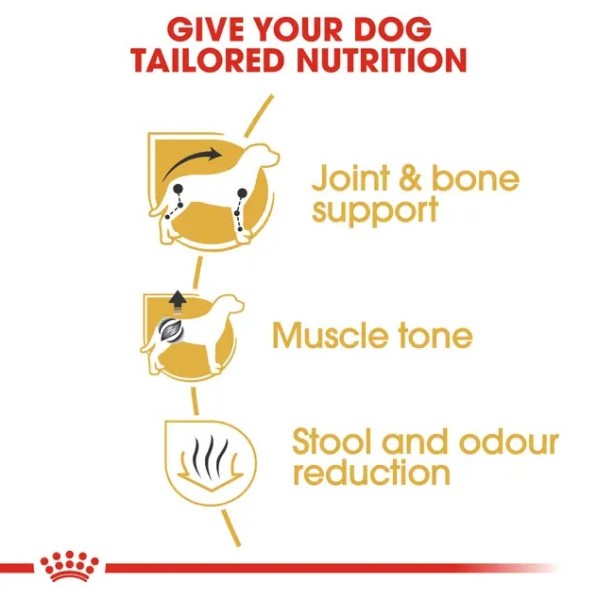 Royal Canin Dachshund Adult - Суха храна за дакели в зряла възраст над 10 месеца